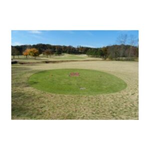 Green Turf Dye Colorant Pink Ribbon Stencil Paint Cancer Awareness Painted Women T Box Golf Course.