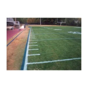 Green Turf Dye Paint Football Field Grass Painting.