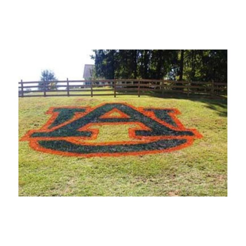 College Logo Stencil Yards Lawns Painted Stencils Collegiate Logos.