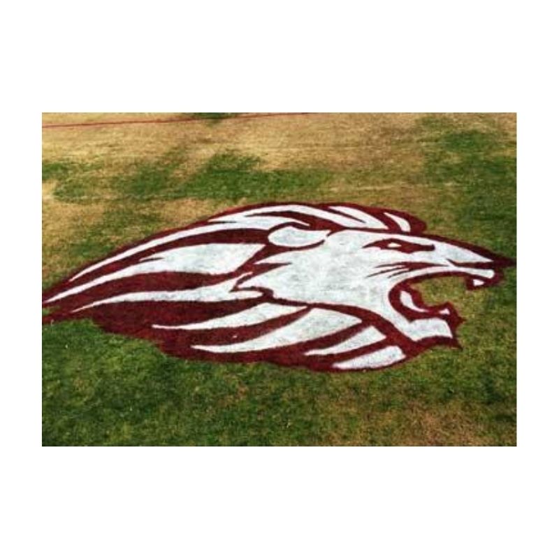 Custom Sports Team Logo Painted On Grass