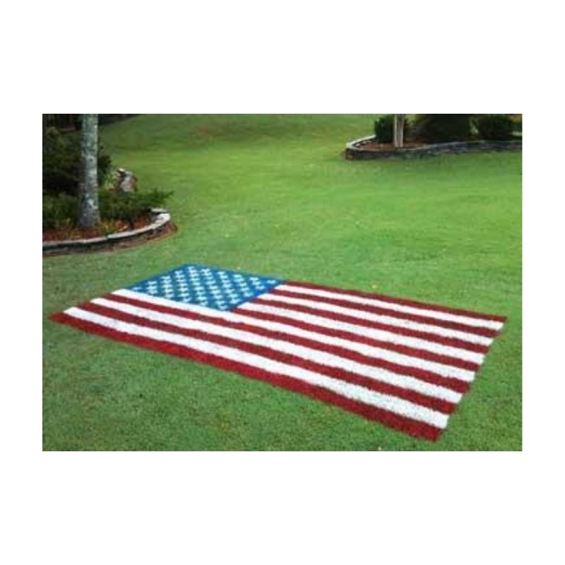American Flag Stencil Design Painted On Residential Lawn