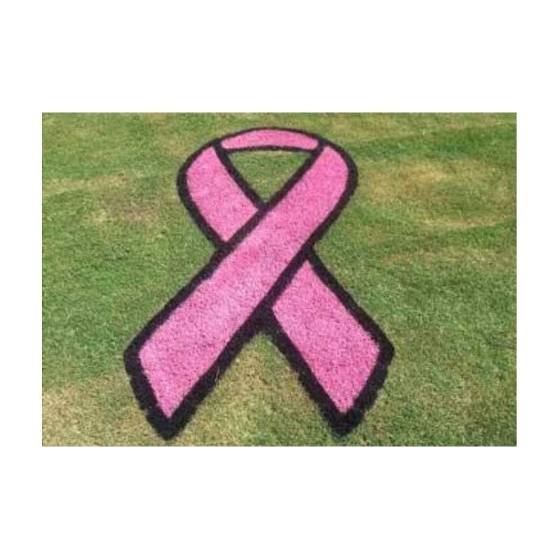 Home Yard Lawn Grass Cancer Awareness Stencil Pink Paint.