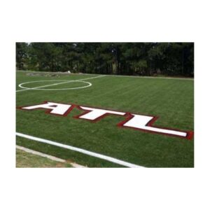 Reusable Yard Art Lawn Logo Mascot Team Cuctom Stencil Special Colors.