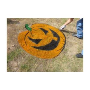Pumpkin Painted With Aerosol Paint And Stencil.
