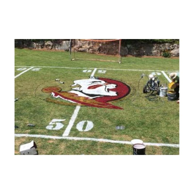 College Logo Painting Home Back Yard Grass