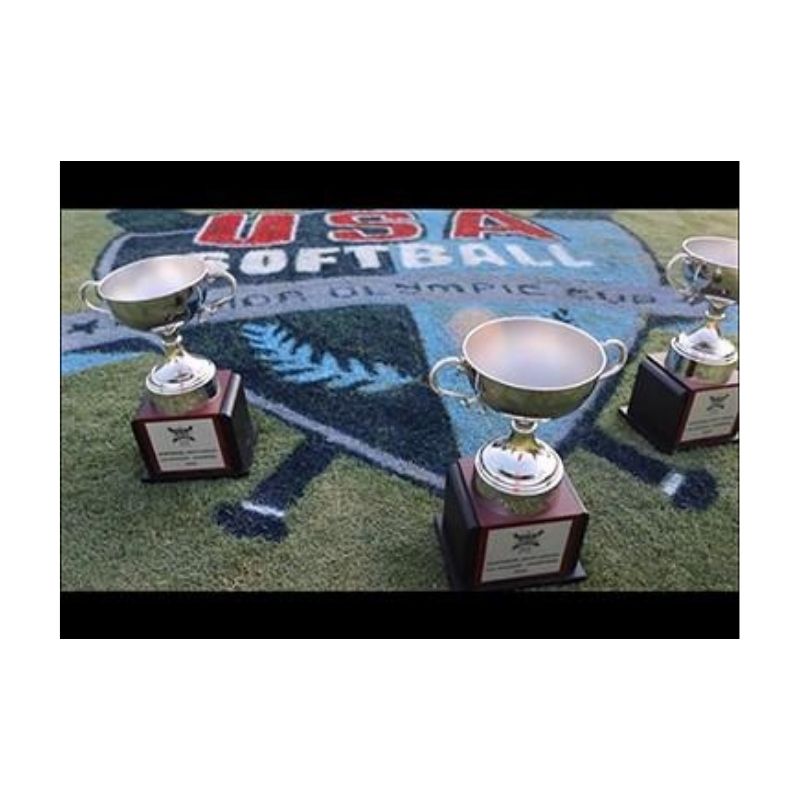 Fund Raising Ideas Opportunity Using High School University College Logos Painted On Grass