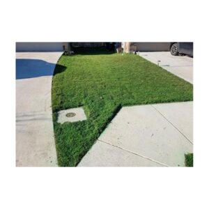 Easy To Use Green Colorant Premium Color Lower Price Than Endurant Pigment.