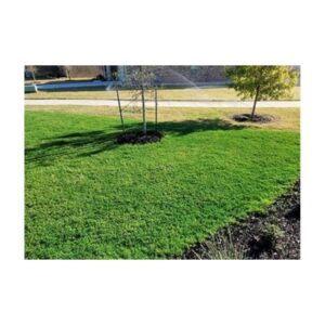 Green Grass Pigment To Color Lawns Same As Endurant Premium.