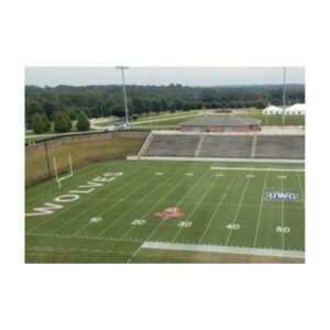 Colorant Dye Paint Green Grass Painting Natural Coloring.