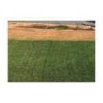 IRISH GREEN premium turf pigment same as endurant grass colorant lower price from manufacturer.