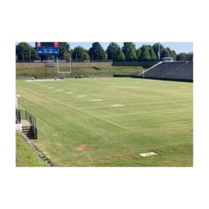 Green Pigment Turf Dyes Colorant Paint For Natural Grass