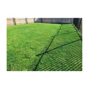 Green Pigment Equal To Less Expensive Than Endurant Premiun.