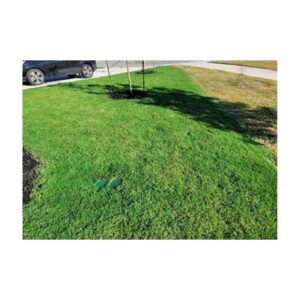 Pigment Grass Color Equal In Performance To Endurant Premium Colorant.