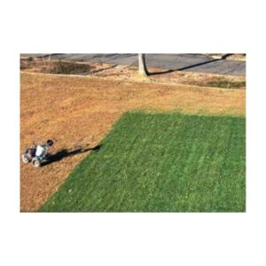 Irish Green Turf Dye Pigment Equal To Endurant Premium