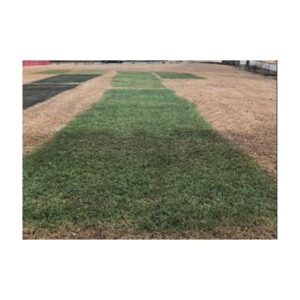 Low Cost Less Expensive Lower Price Than Endurant Premium