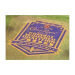 On Site Logo Painting Services