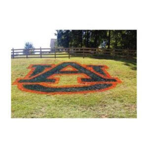Auburn University Logo Stencil Painted On Lawn In Orange And Navy