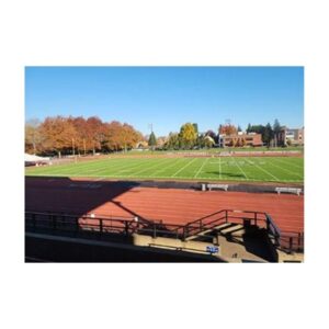 Best paint for painting football fields thinned with water for best price low cost bright lines field paint.