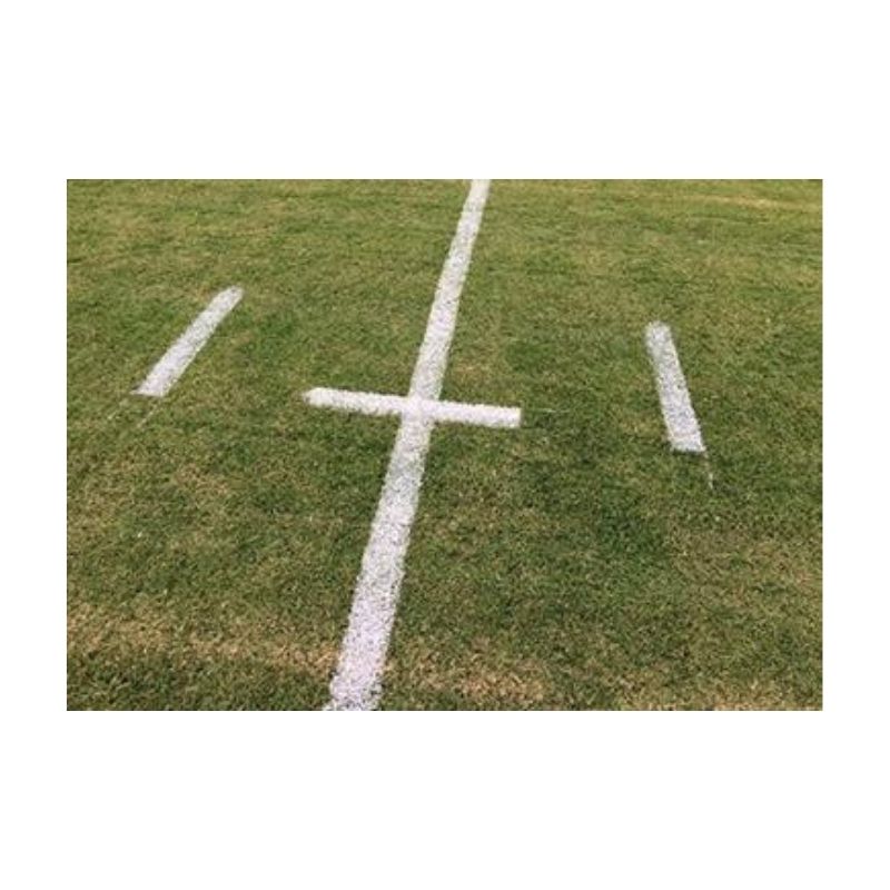 Order paint for turf tank robot tiny mobile or swozi robots paints