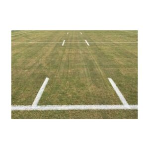 Painting Custom Design White Lines On Natural Grass With Athletic Field Robot