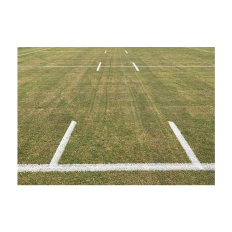 Painting Custom Design White Lines On Natural Grass With Athletic Field Robot