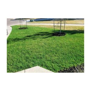 Green Grass Pigment To Color Lawns Same As Endurant Premium