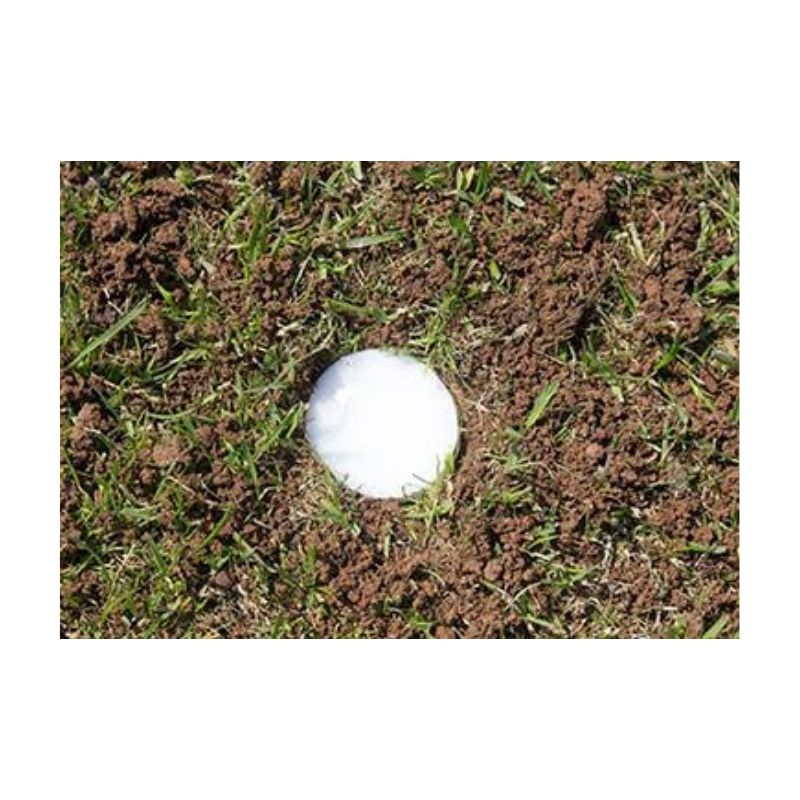 Marker Football Field Flush To The Ground.