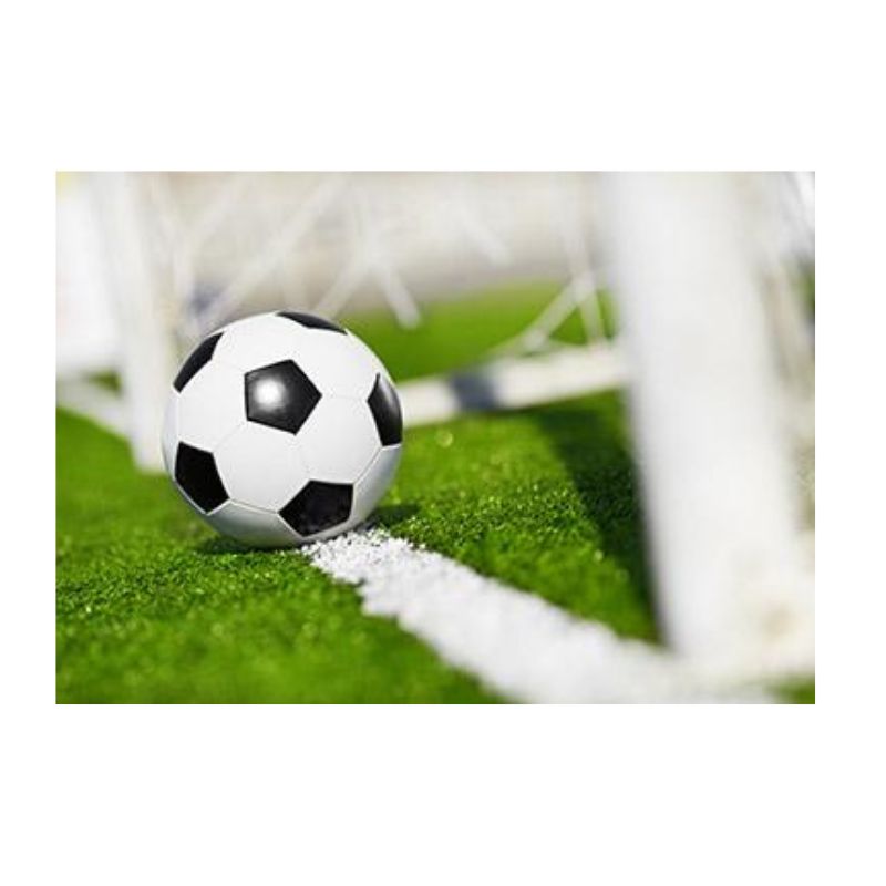 Soccer Field Layout Diagram Soccer Field Layout Diagram