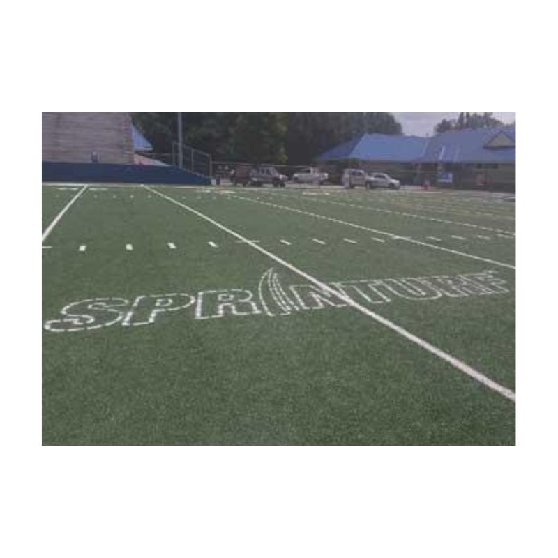 Stencil outline of removable before paint and colors are filled in.