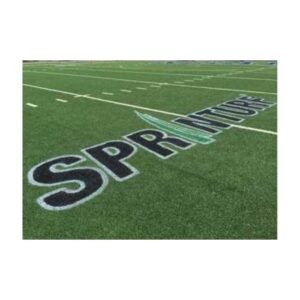 Removable logo for synthetic field turf.