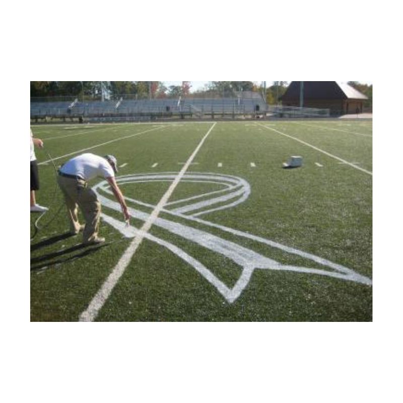 Removable paint airless spray machine graco.