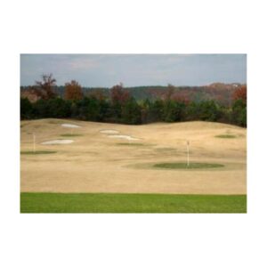 Turf Dye Painted Green Paint Distance Targets Golf Driving Range.