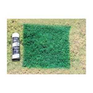 Aerosol Green Grass Turf Touch Up Cover Up Paint Natural Grass Synthetic Turf Brown Spots.